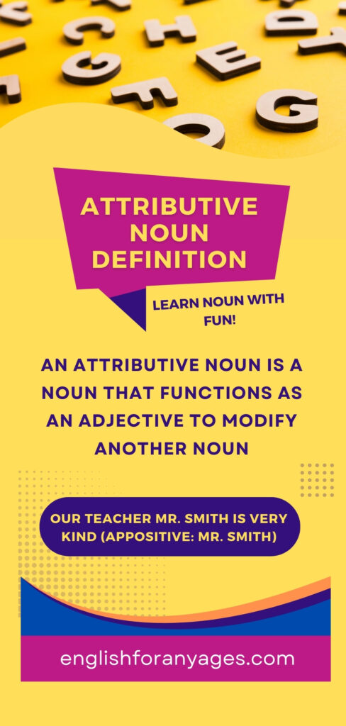 Attributive Noun Definition